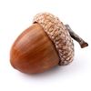 butteredacorn5
