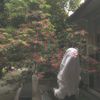 hanifatul_milaa