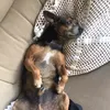 pedrokkkkkkkkkkkkkkkkj