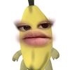 ex.__21