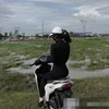 tragiang006i