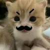 jhonvince_23