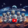 space_meerkats