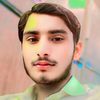 zain.ali5334