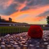 strawberrysunsets