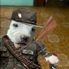 elpikaditraidojgexd