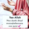 imanibrahimnur