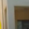 snawgcollectr