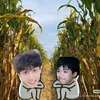 illp99