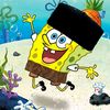 mister_orcaroblox