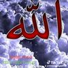 mhdagungshayfularifin