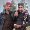 alidostlajwani