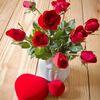 .asma455