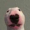 jerbik
