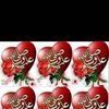 user1020139946006