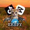 ekspy.editor