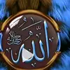 ggiikkr485vv