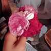 haniahania522