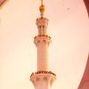 user8310246026884