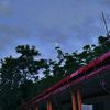 selenophile_4609