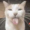 sillylilgoober58