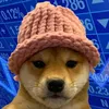 memecoin_callsx