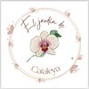 El jardín de Cataleya🌺