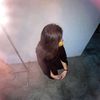 omgg_35