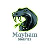 mayham_diaries