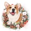 Cute Dog  🐾🐾