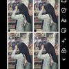 uurang_garut
