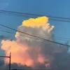 ぶー。