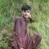 waseemshahzadshah71