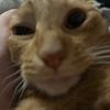 downbydariver_w
