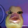 elle_e31