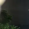 hanhni62