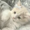 amanii_1010