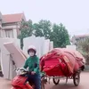 Phan Thuỷ VS