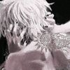 sukamatcha0121
