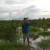 boncos_abadi