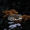 shahdahmedalmaad