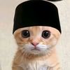 agiel.muhammad0