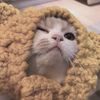 PURRHAPPY
