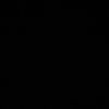 saldhig1