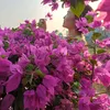 minhthng0905