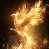 phoeniks110