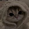 inaahmeth48
