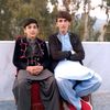 ali.zaib.arman