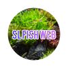 sl_fish_web