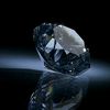 monlight3587